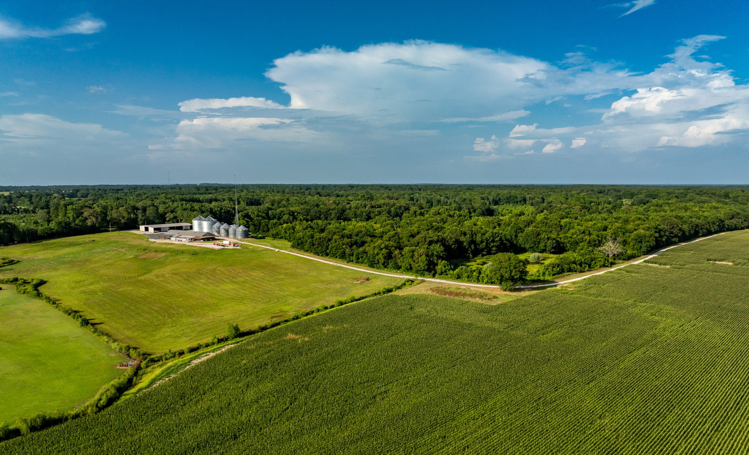 2025.07.07_idabel_00159